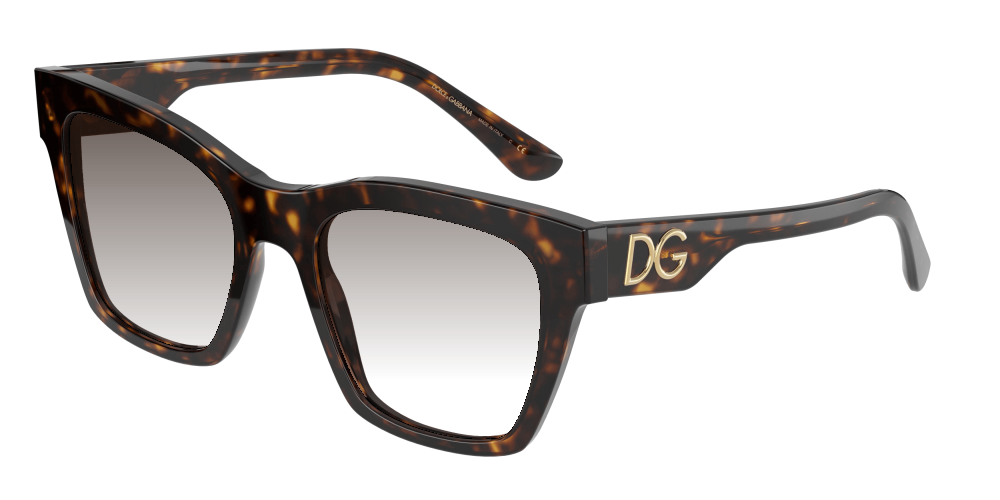 Dolce & Gabbana DG4384 502/13 Dolce & Gabbana DG4384 502/13