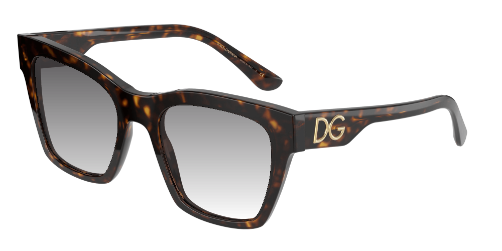 Dolce & Gabbana DG4384 502/13 Dolce & Gabbana DG4384 502/13