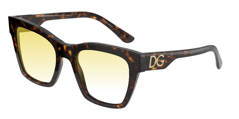 Dolce & Gabbana DG4384 502/13 Dolce & Gabbana DG4384 502/13