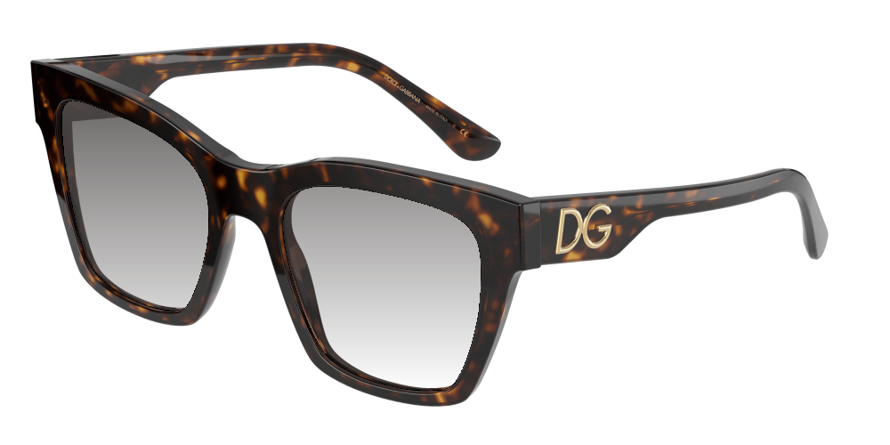 Dolce & Gabbana DG4384 502/13 Dolce & Gabbana DG4384 502/13