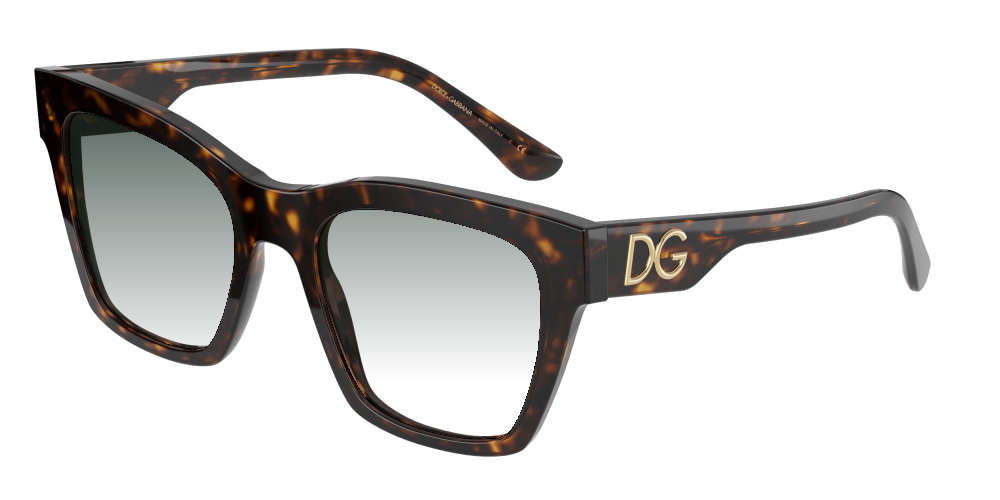Dolce & Gabbana DG4384 502/13 Dolce & Gabbana DG4384 502/13