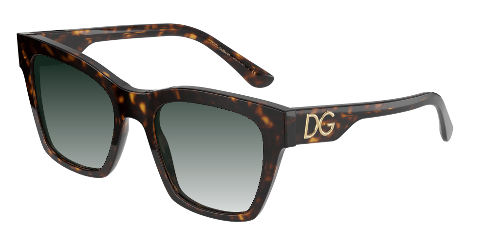 Dolce & Gabbana DG4384 502/13 Dolce & Gabbana DG4384 502/13