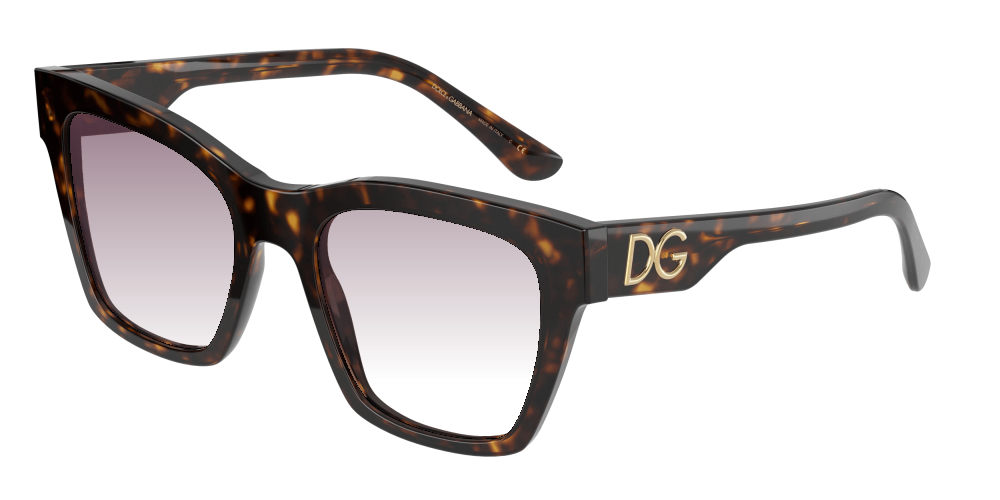 Dolce & Gabbana DG4384 502/13 Dolce & Gabbana DG4384 502/13