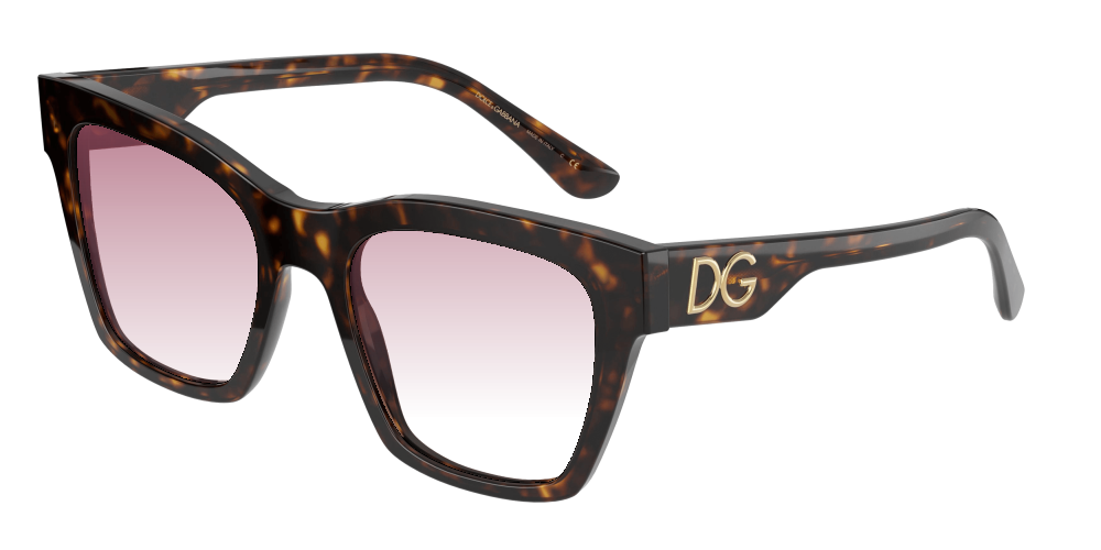Dolce & Gabbana DG4384 502/13 Dolce & Gabbana DG4384 502/13