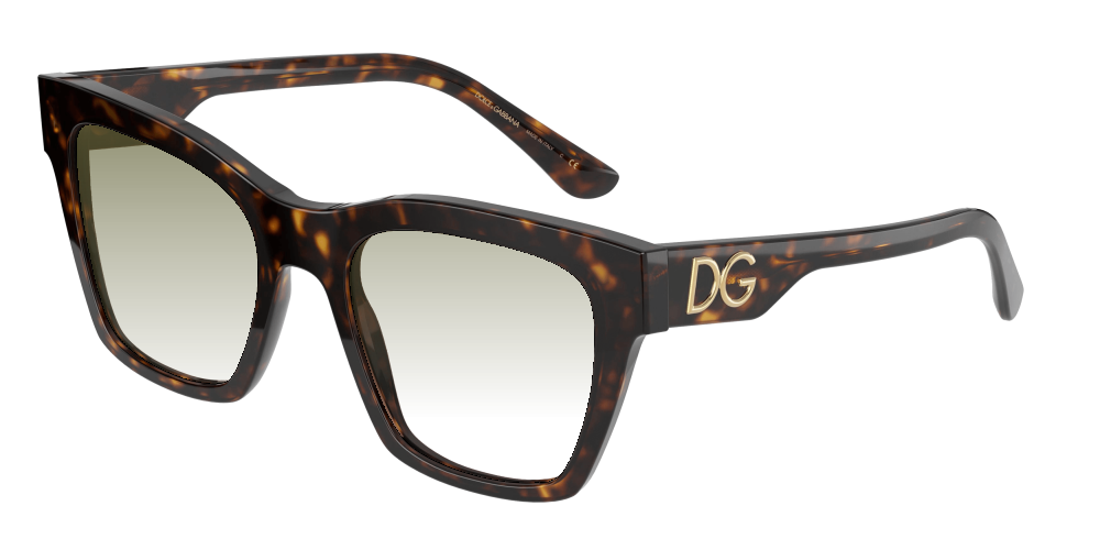 Dolce & Gabbana DG4384 502/13 Dolce & Gabbana DG4384 502/13