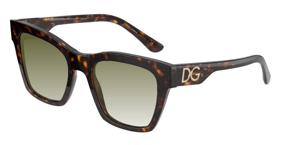 Dolce & Gabbana DG4384 502/13 Dolce & Gabbana DG4384 502/13
