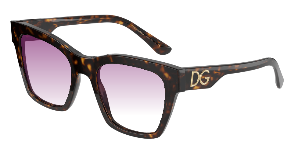 Dolce & Gabbana DG4384 502/13 Dolce & Gabbana DG4384 502/13
