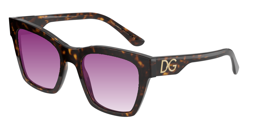Dolce & Gabbana DG4384 502/13 Dolce & Gabbana DG4384 502/13