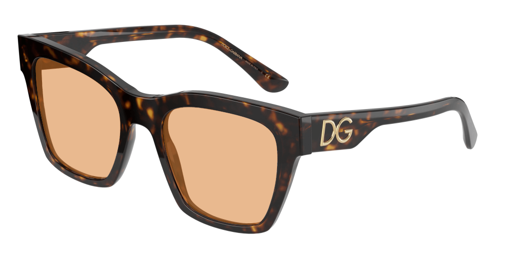 Dolce & Gabbana DG4384 502/13 Dolce & Gabbana DG4384 502/13