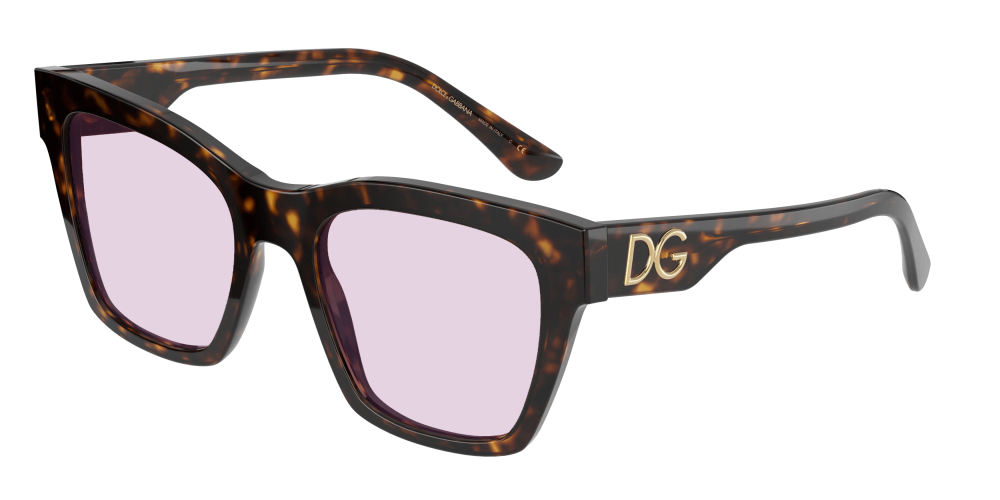 Dolce & Gabbana DG4384 502/13 Dolce & Gabbana DG4384 502/13