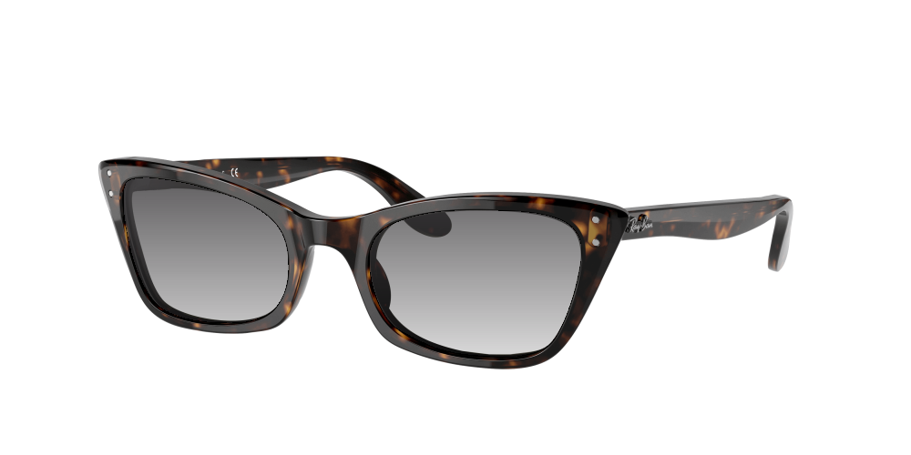 Ray Ban RB2299 902/31 Lady Burbank Ray Ban RB2299 902/31 Lady Burbank