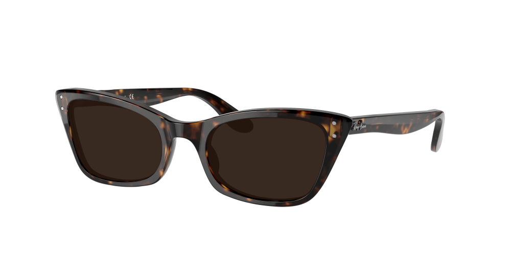 Ray Ban RB2299 902/31 Lady Burbank Ray Ban RB2299 902/31 Lady Burbank