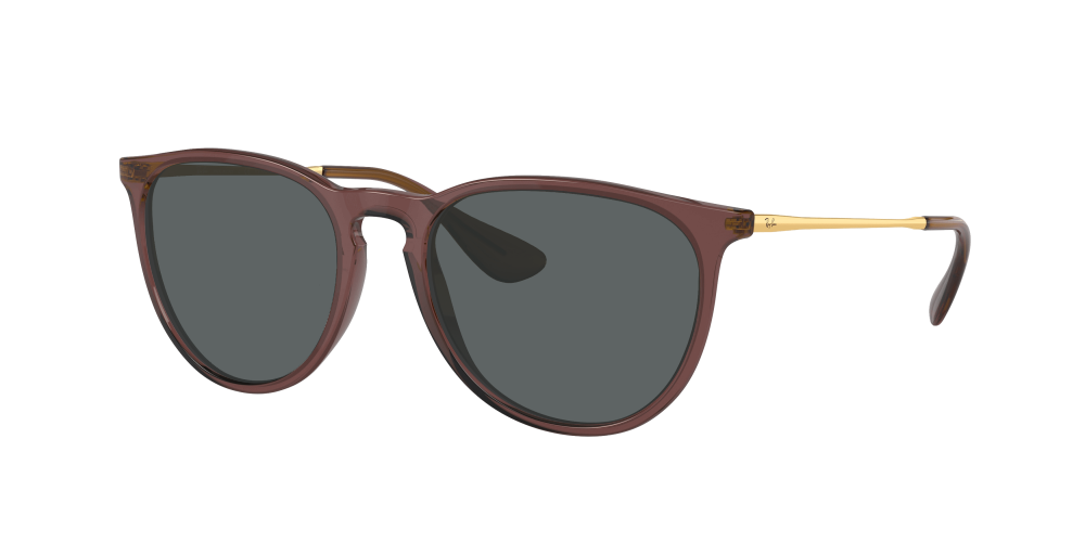 Ray Ban RB4171 6593T5 Erika Ray Ban RB4171 6593T5 Erika