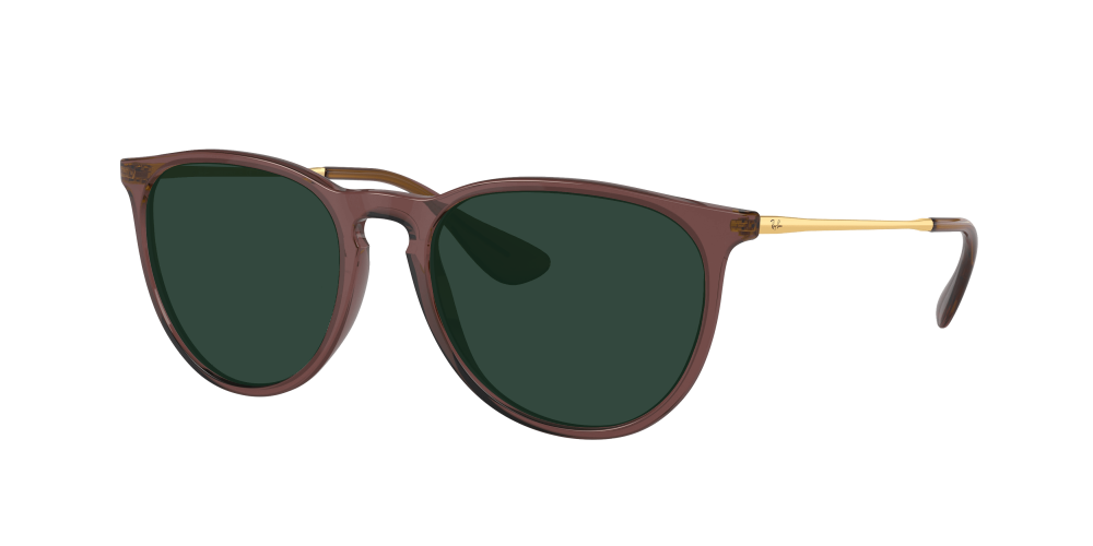 Ray Ban RB4171 6593T5 Erika Ray Ban RB4171 6593T5 Erika