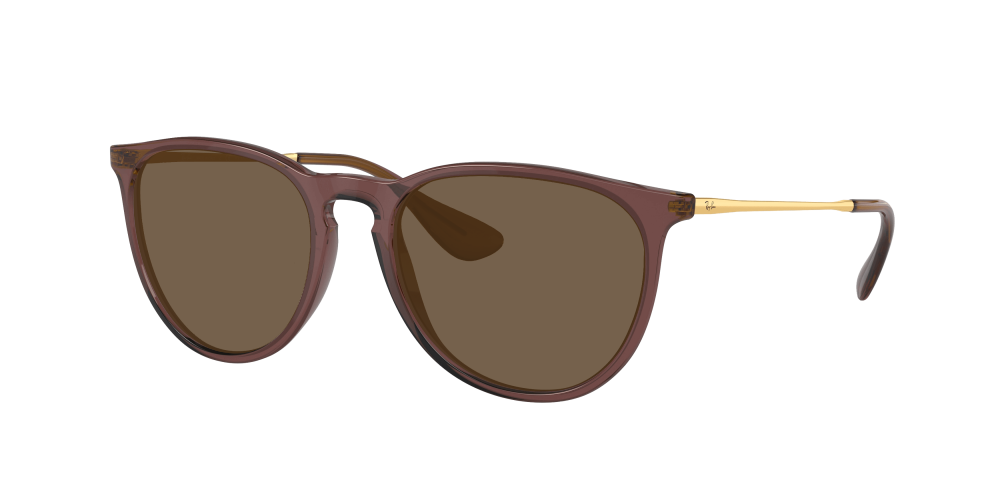 Ray Ban RB4171 6593T5 Erika Ray Ban RB4171 6593T5 Erika