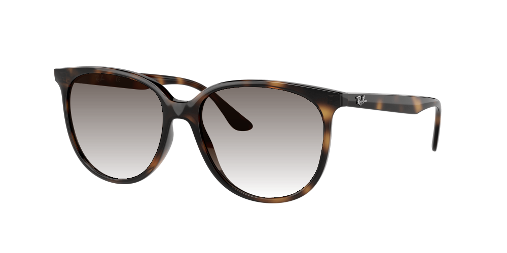 Ray Ban RB4378 710/13 Ray Ban RB4378 710/13