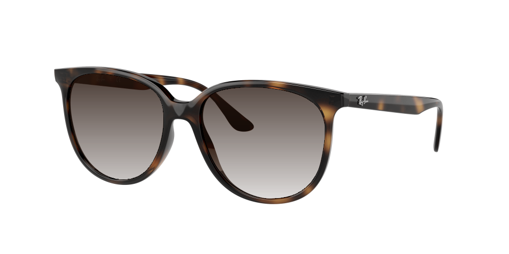 Ray Ban RB4378 710/13 Ray Ban RB4378 710/13