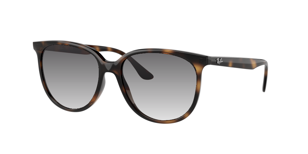 Ray Ban RB4378 710/13 Ray Ban RB4378 710/13