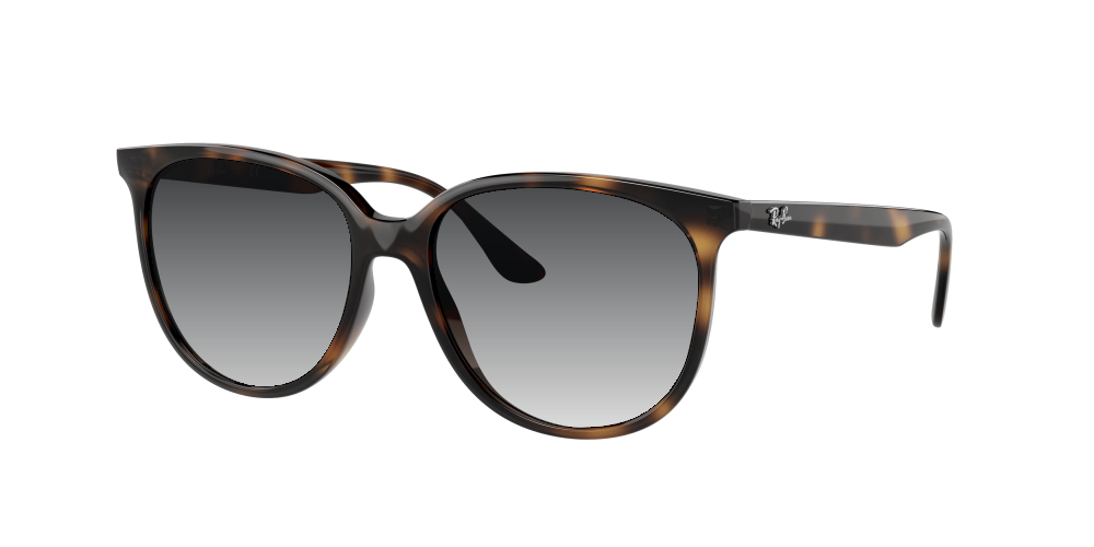 Ray Ban RB4378 710/13 Ray Ban RB4378 710/13
