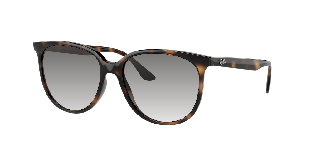 Ray Ban RB4378 710/13 Ray Ban RB4378 710/13