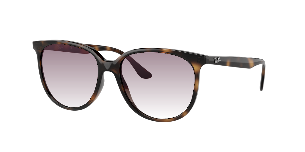 Ray Ban RB4378 710/13 Ray Ban RB4378 710/13