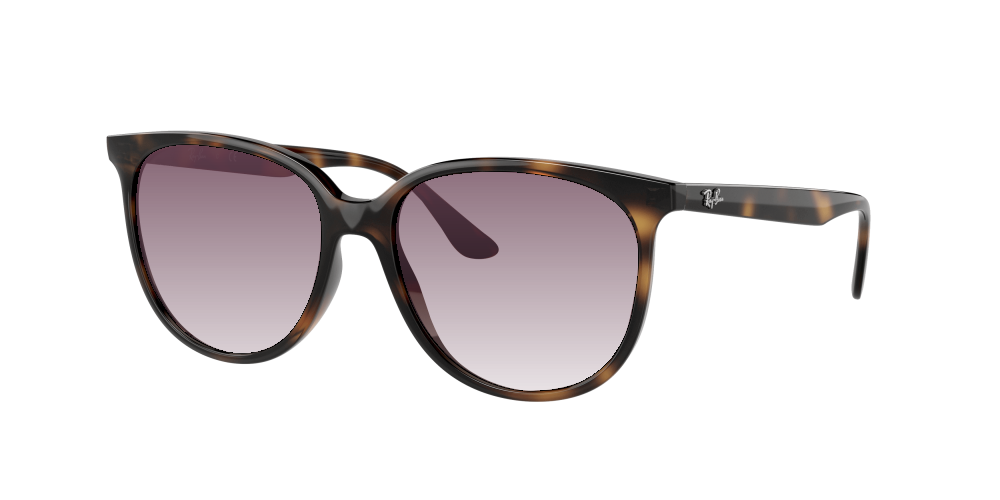 Ray Ban RB4378 710/13 Ray Ban RB4378 710/13