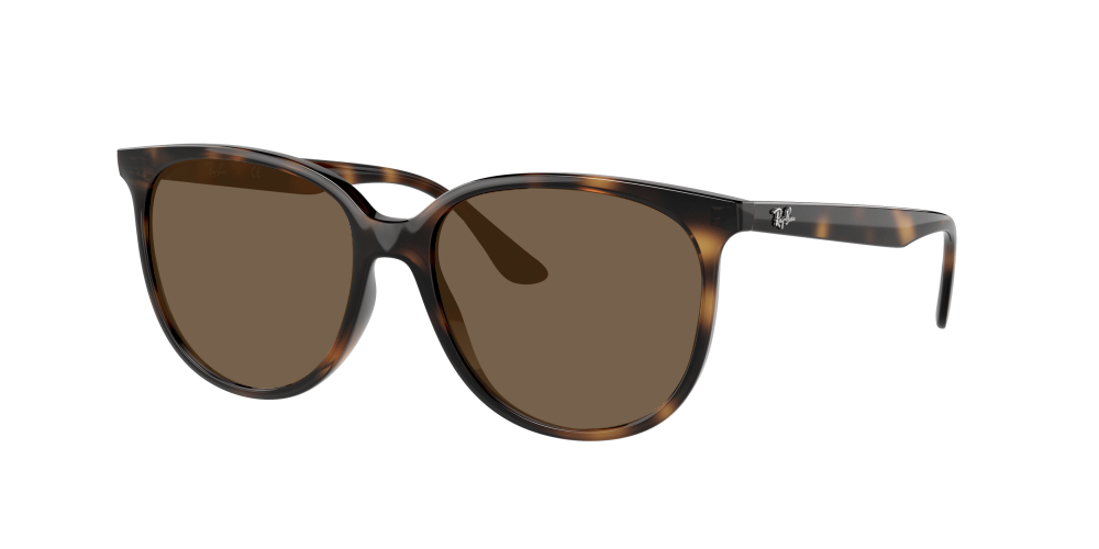 Ray Ban RB4378 710/13 Ray Ban RB4378 710/13