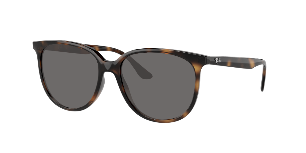 Ray Ban RB4378 710/13 Ray Ban RB4378 710/13
