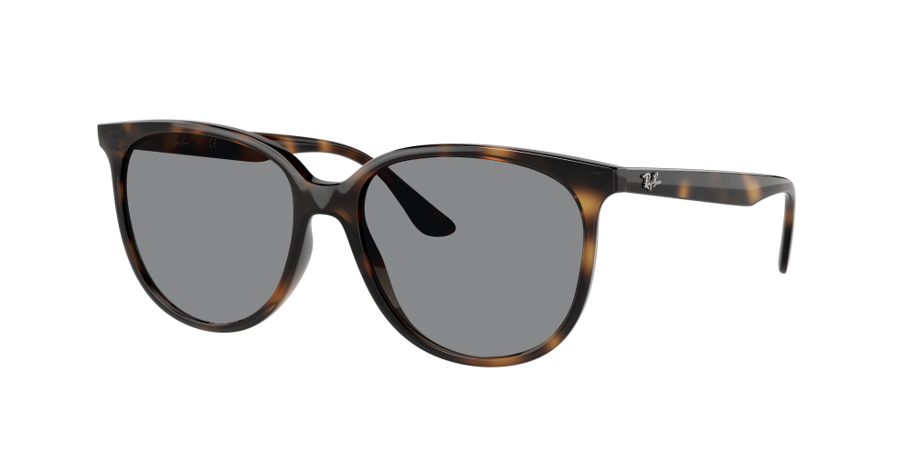 Ray Ban RB4378 710/13 Ray Ban RB4378 710/13
