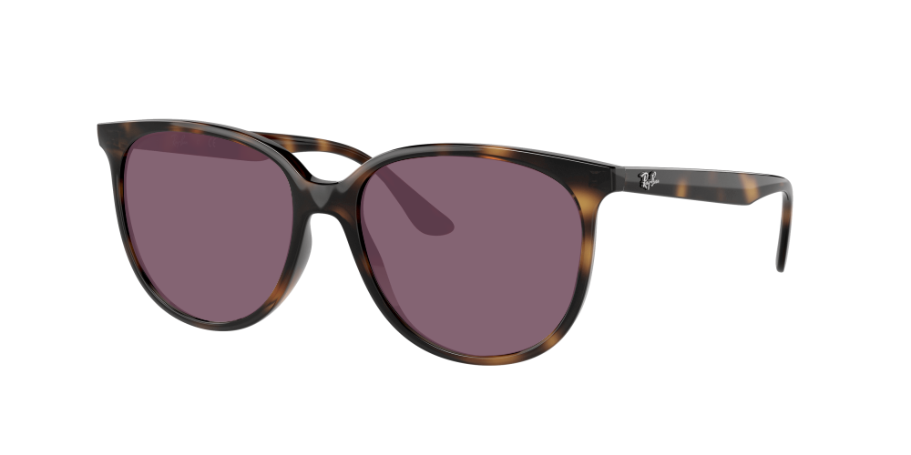 Ray Ban RB4378 710/13 Ray Ban RB4378 710/13