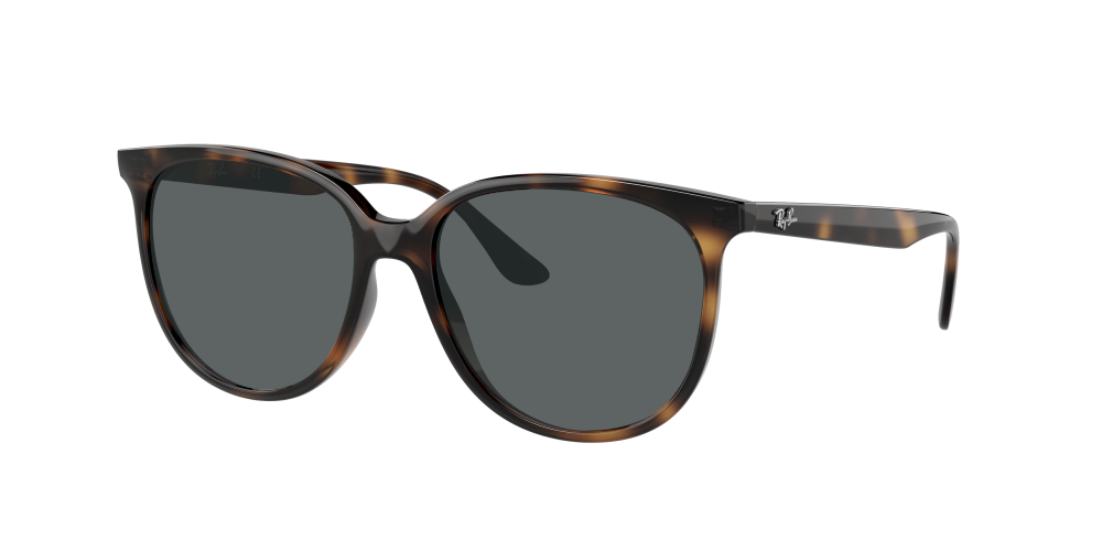 Ray Ban RB4378 710/13 Ray Ban RB4378 710/13