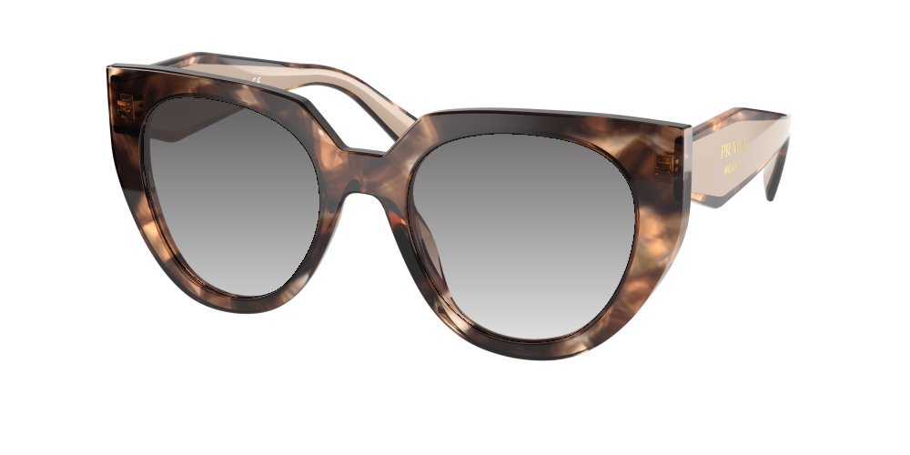 Prada PR 14WS 01R0A6 Prada PR 14WS 01R0A6