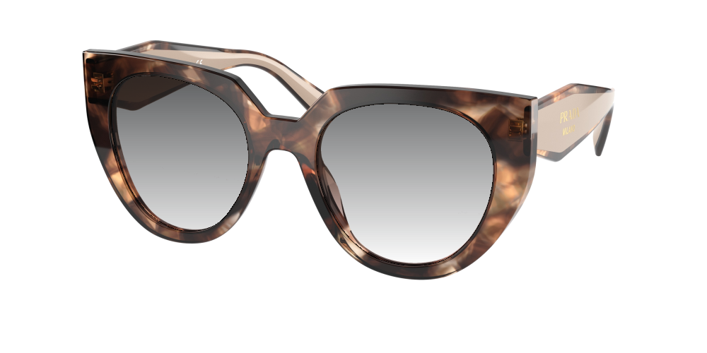 Prada PR 14WS 01R0A6 Prada PR 14WS 01R0A6