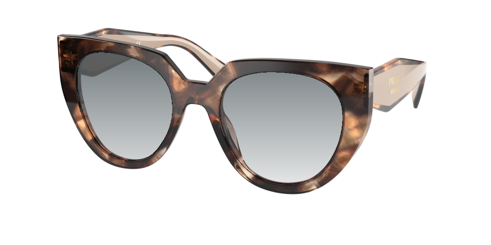 Prada PR 14WS 01R0A6 Prada PR 14WS 01R0A6