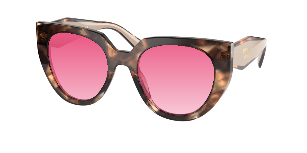 Prada PR 14WS 01R0A6   Prada PR 14WS 01R0A6