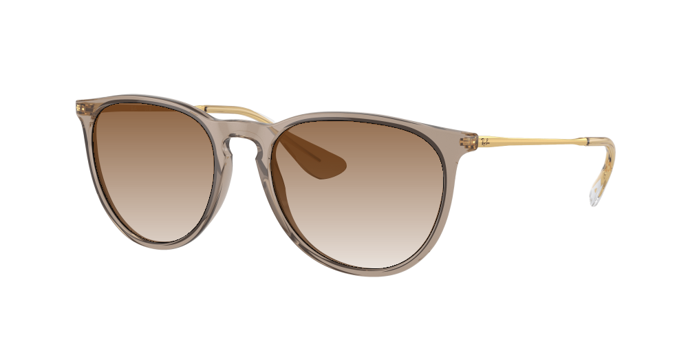 Ray Ban RB4171 674413 Erika Ray Ban RB4171 674413 Erika