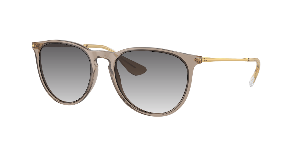 Ray Ban RB4171 674413 Erika Ray Ban RB4171 674413 Erika