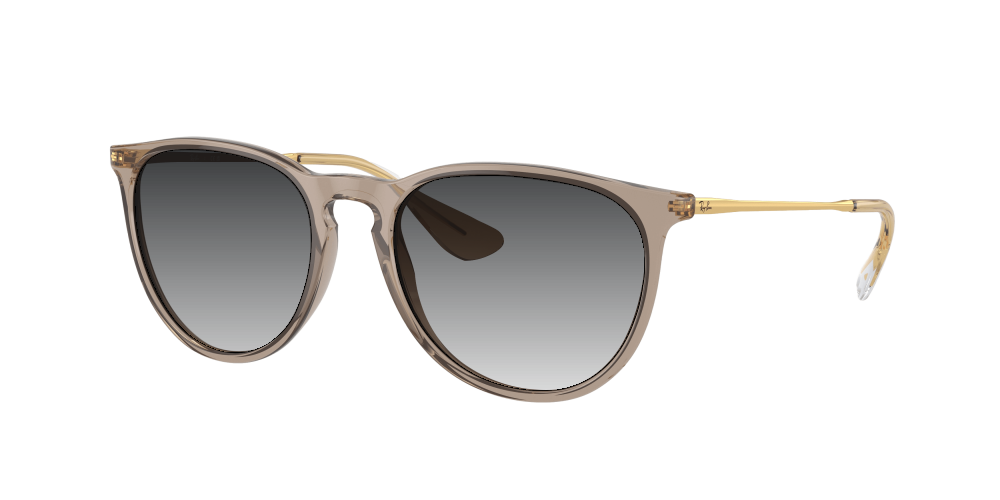 Ray-Ban RB4171 674413 Erika Ray-Ban RB4171 674413 Erika