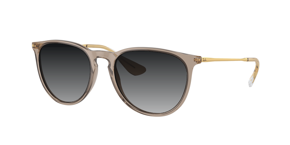 Ray-Ban RB4171 674413 Erika Ray-Ban RB4171 674413 Erika