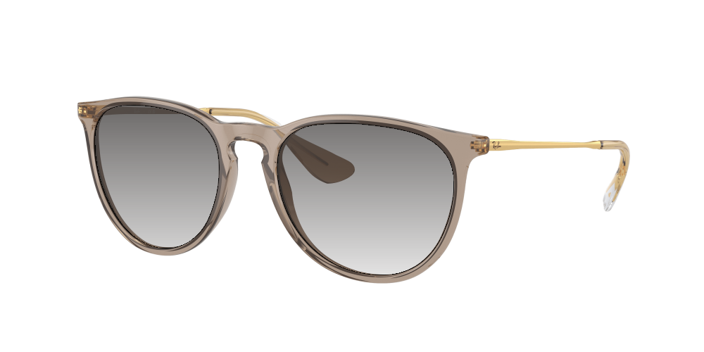 Ray Ban RB4171 674413 Erika Ray Ban RB4171 674413 Erika