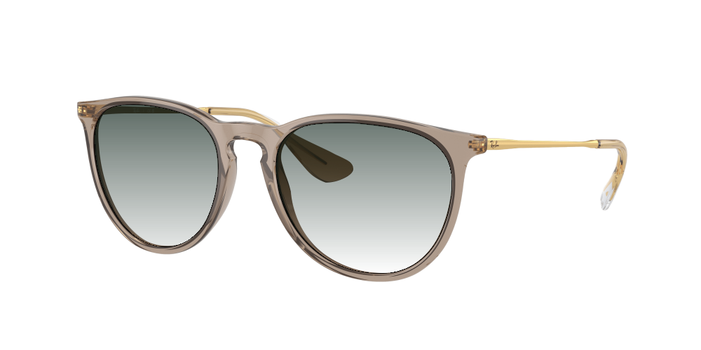 Ray Ban RB4171 674413 Erika Ray Ban RB4171 674413 Erika