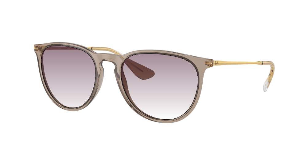 Ray Ban RB4171 674413 Erika Ray Ban RB4171 674413 Erika