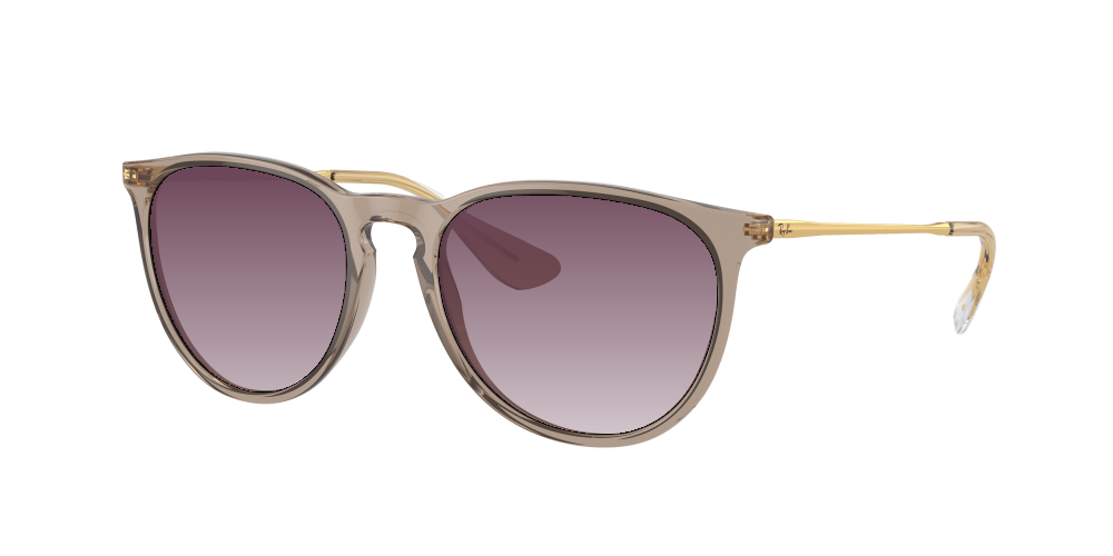 Ray Ban RB4171 674413 Erika Ray Ban RB4171 674413 Erika