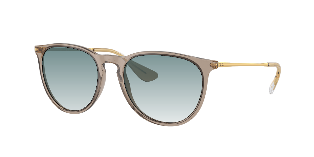 Ray Ban RB4171 674413 Erika Ray Ban RB4171 674413 Erika