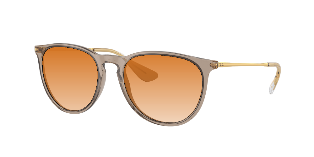 Ray Ban RB4171 674413 Erika Ray Ban RB4171 674413 Erika