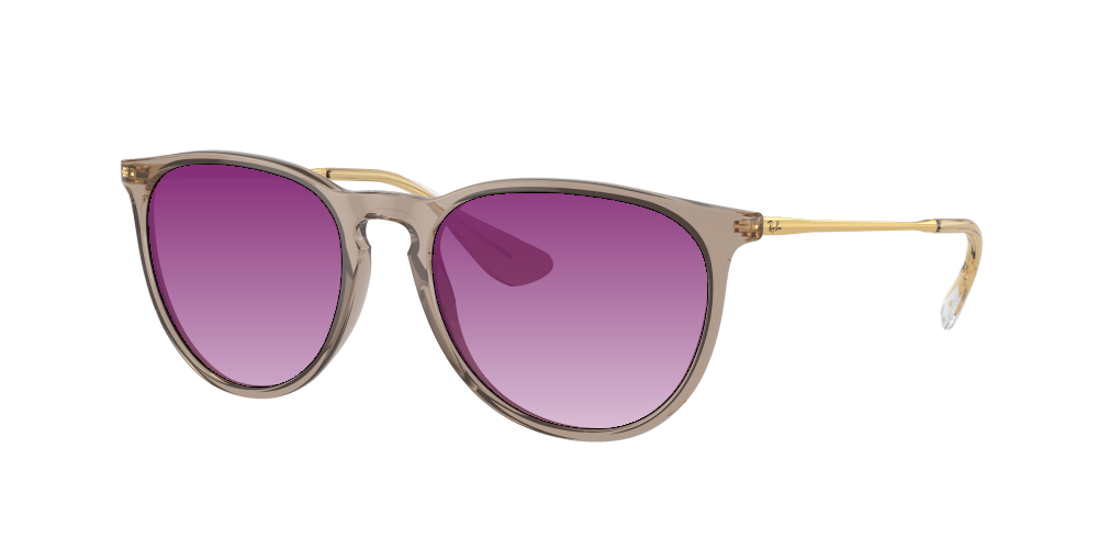 Ray Ban RB4171 674413 Erika Ray Ban RB4171 674413 Erika