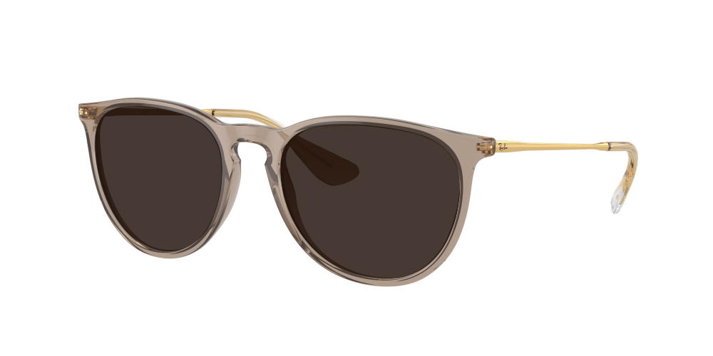 Ray Ban RB4171 674413 Erika Ray Ban RB4171 674413 Erika