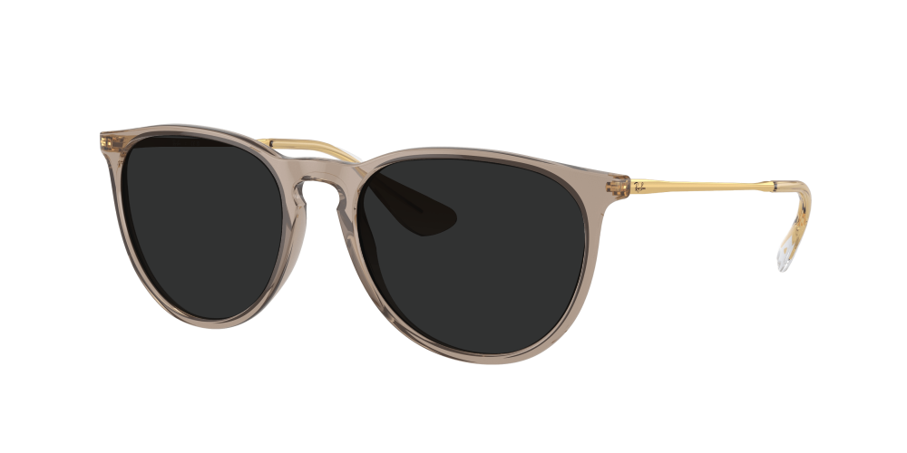 Ray Ban RB4171 674413 Erika Ray Ban RB4171 674413 Erika