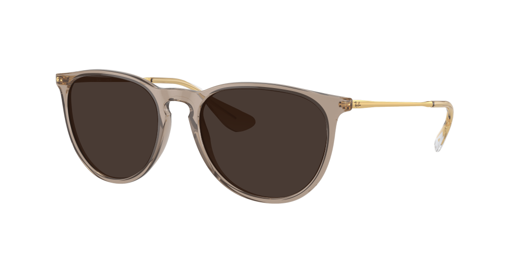 Ray-Ban RB4171 674413 Erika Ray-Ban RB4171 674413 Erika