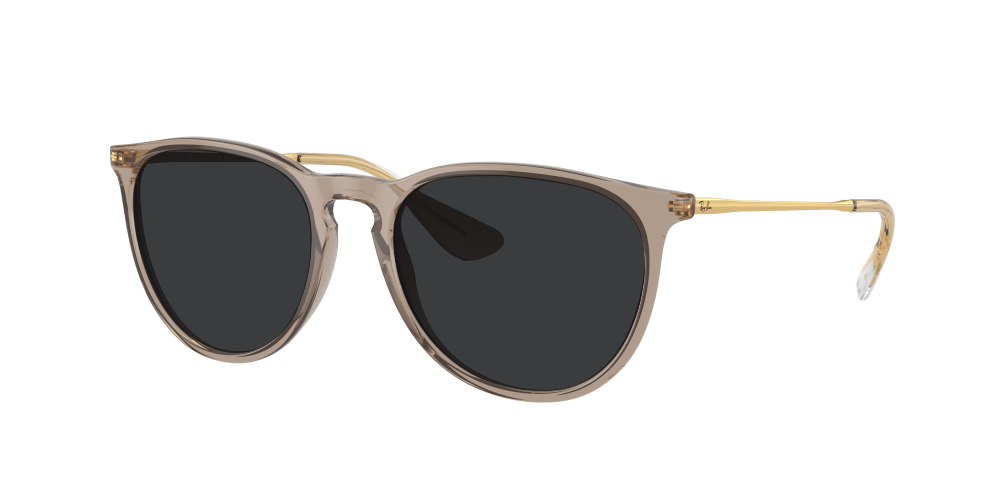 Ray Ban RB4171 674413 Erika Ray Ban RB4171 674413 Erika